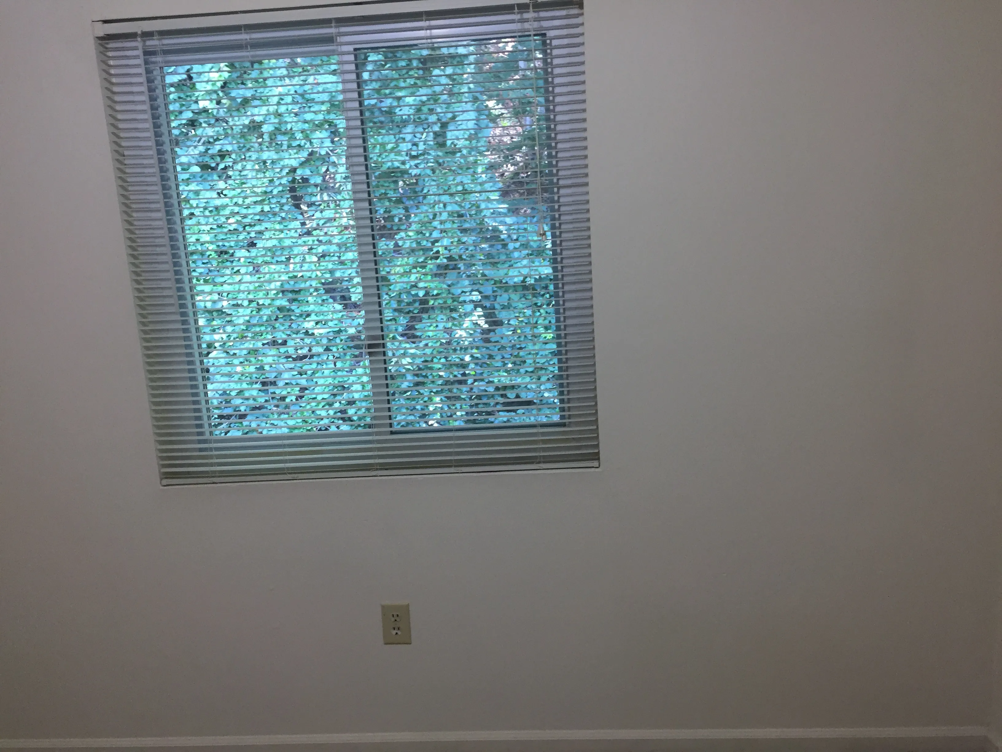 Pièce vide et lumineuse d'un appartement, avec mur blanc et fenêtre